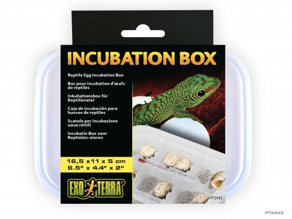 Inkubationsbox für Reptilieneier